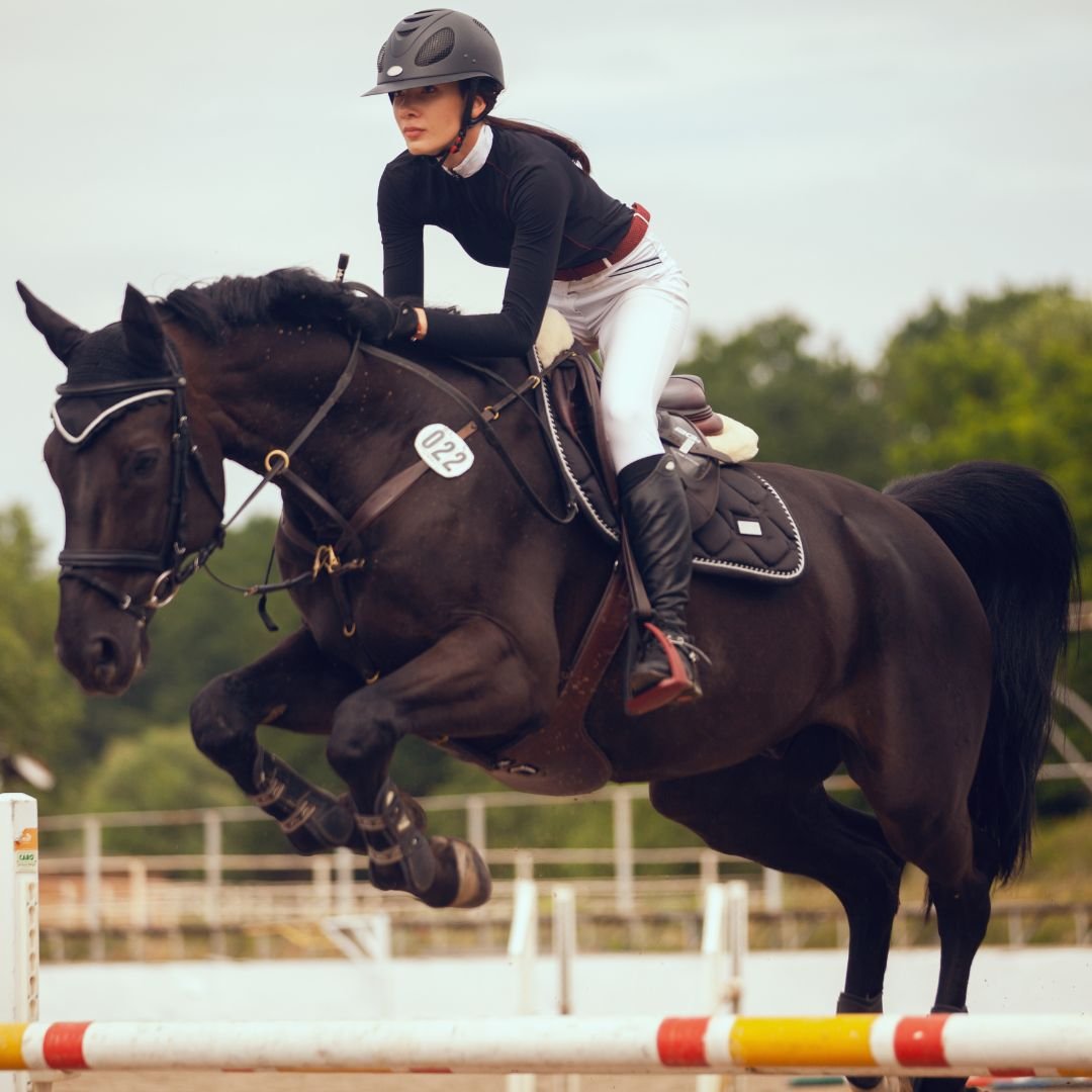 equestrian